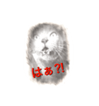 スケッチキャット（個別スタンプ：10）