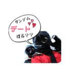 にゃんにゃかにゃん（個別スタンプ：18）