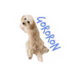 犬築田さんのきもち（個別スタンプ：2）