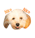 犬築田さんのきもち（個別スタンプ：6）