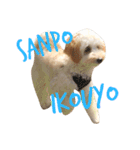 犬築田さんのきもち（個別スタンプ：10）