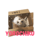 犬築田さんのきもち（個別スタンプ：12）