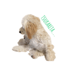 犬築田さんのきもち（個別スタンプ：14）