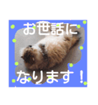 毎日使う言葉2（個別スタンプ：13）