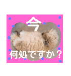 毎日使う言葉2（個別スタンプ：24）