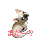 レオンさん（個別スタンプ：2）