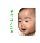 noestamp2（個別スタンプ：8）