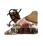 りんちゃんのための棒人間スタンプです。（個別スタンプ：4）