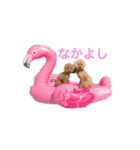 トイプードルジルの  使えるお返事 パート9（個別スタンプ：2）