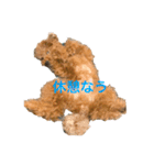 トイプードルジルの  使えるお返事 パート9（個別スタンプ：9）