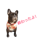 FB koume 2（個別スタンプ：5）