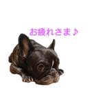 FB koume 2（個別スタンプ：16）