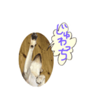 らぶ・ライト 其の2（個別スタンプ：2）