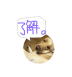 らぶ・ライト 其の2（個別スタンプ：3）