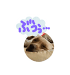 らぶ・ライト 其の2（個別スタンプ：6）