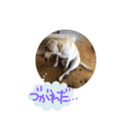 らぶ・ライト 其の2（個別スタンプ：7）
