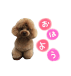 むにゅっとな日々（個別スタンプ：1）