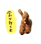むにゅっとな日々（個別スタンプ：15）
