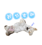 むにゅっとな日々（個別スタンプ：16）
