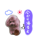 むにゅっとな日々（個別スタンプ：20）