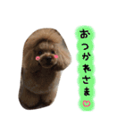 むにゅっとな日々（個別スタンプ：23）