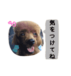 むにゅっとな日々（個別スタンプ：33）