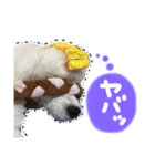 むにゅっとな日々（個別スタンプ：34）