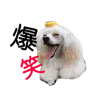 むにゅっとな日々（個別スタンプ：37）