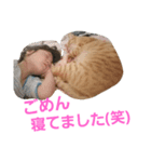 子と猫（個別スタンプ：6）