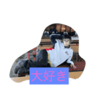 osakaizumi 1（個別スタンプ：10）