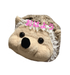 大好きハリネズミ（個別スタンプ：1）