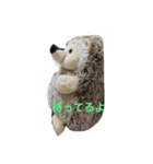 大好きハリネズミ（個別スタンプ：4）