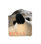 大好きハリネズミ（個別スタンプ：7）