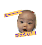 ひー坊のあいさつ③（個別スタンプ：11）