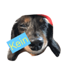 愛犬‼︎（個別スタンプ：4）