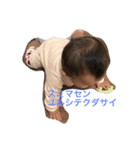 こはくがいう2（個別スタンプ：12）