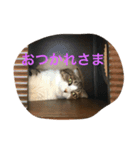 Carl talks...（個別スタンプ：3）