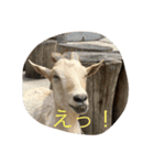 Carl talks...（個別スタンプ：7）