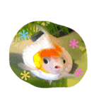 あずあいのスタンプ（個別スタンプ：6）