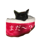 黒猫クインver2（個別スタンプ：1）