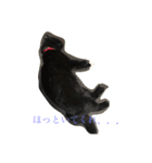 黒猫クインver2（個別スタンプ：4）