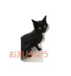 黒猫クインver2（個別スタンプ：5）