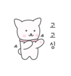 A cute white puppy（個別スタンプ：5）