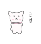 A cute white puppy（個別スタンプ：6）