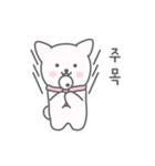 A cute white puppy（個別スタンプ：9）