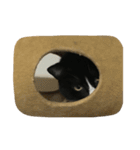 はちロボ8＋2（個別スタンプ：2）