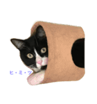 はちロボ8＋2（個別スタンプ：6）