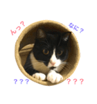 はちロボ8＋2（個別スタンプ：7）