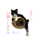 はちロボ8＋2（個別スタンプ：9）