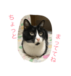 はちロボ8＋2（個別スタンプ：12）